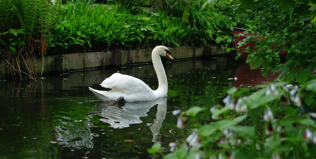 B&B Canal Deluxe Bruges Esterno foto